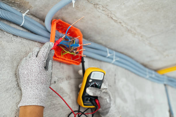 Best Electrical System Inspection  in Carson City, NV